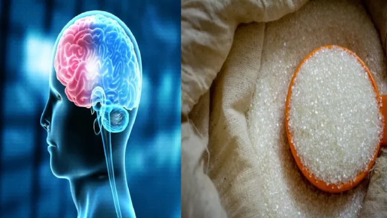 Negative Effect Of High Sugar Consumption on Brain Health