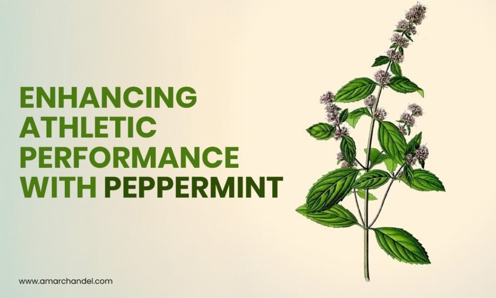 Enhancing Athletic Performance With Peppermint