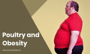 Poultry and Obesity