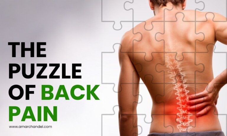 The Puzzle of Back Pain