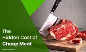 The Hidden Cost of Cheap Meat