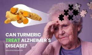 Can Turmeric Treat Alzheimer’s Disease?