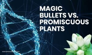 Magic Bullets vs. Promiscuous Plants