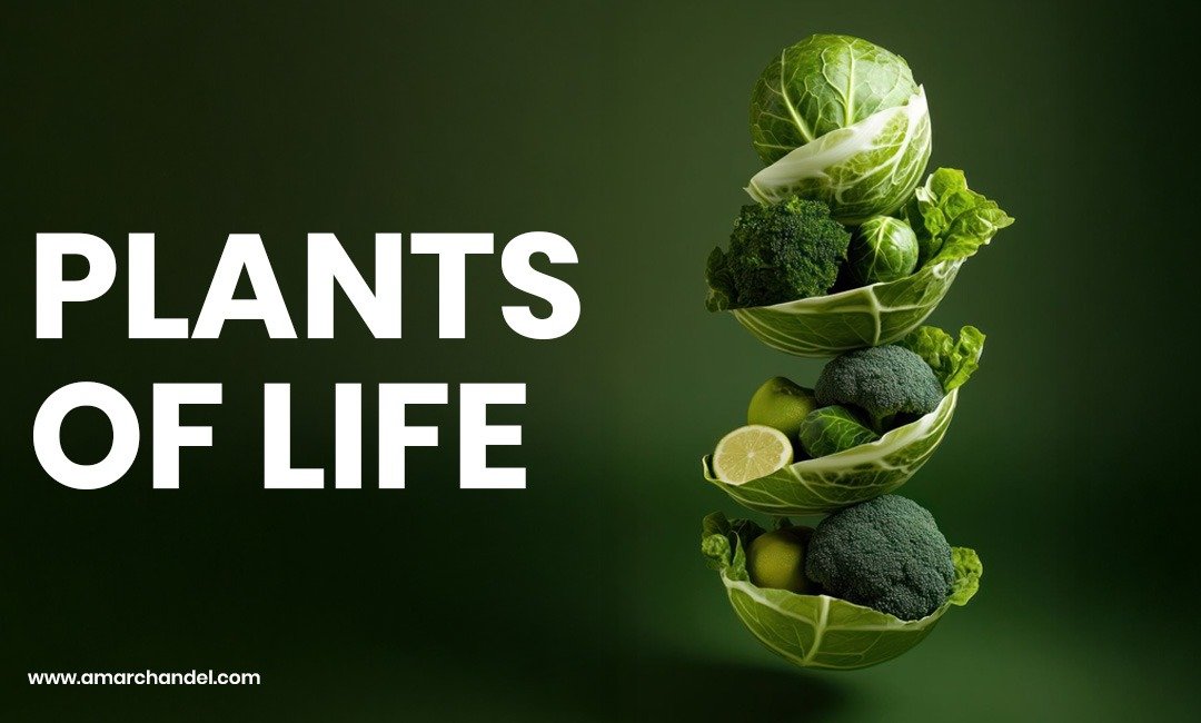 Plants of Life