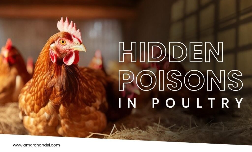 Hidden Poisons in Poultry