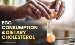 Egg Consumption & Dietary Cholesterol