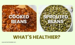 Cooked Beans vs Sprouted Beans: What’s Healthier?