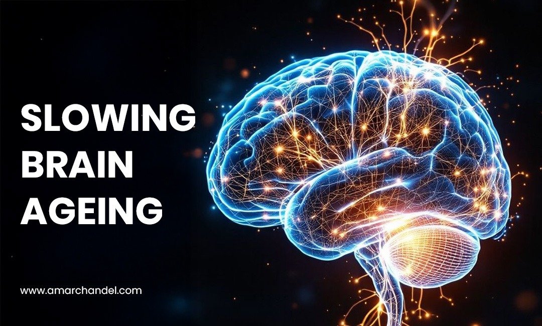 Slowing Brain Ageing