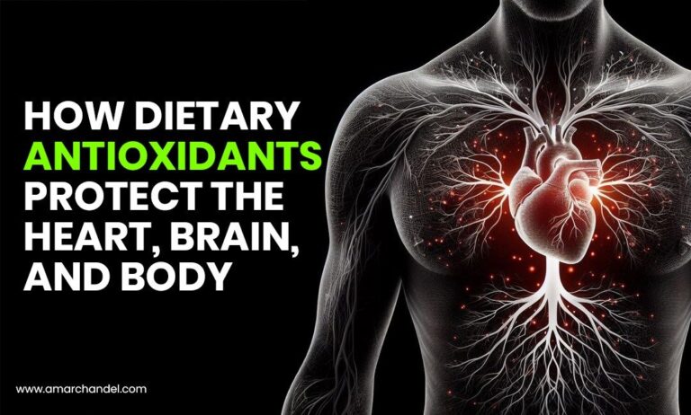 How Dietary Antioxidants Protect the Heart, Brain, and Body?