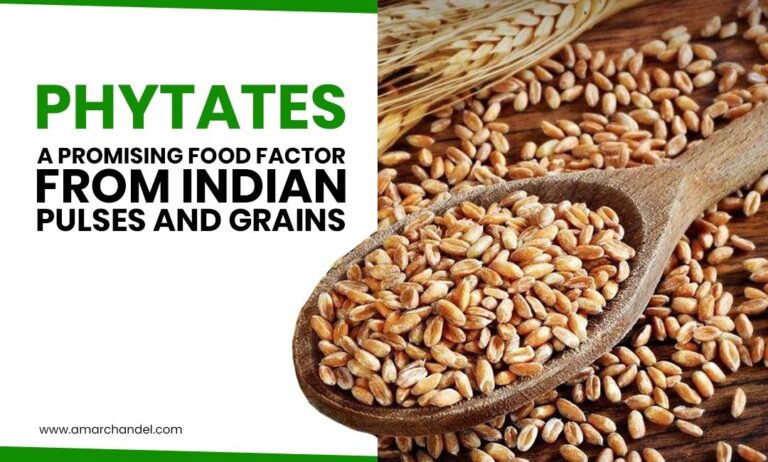 Phytates — A Promising Food Factor From Indian Pulses and Grains