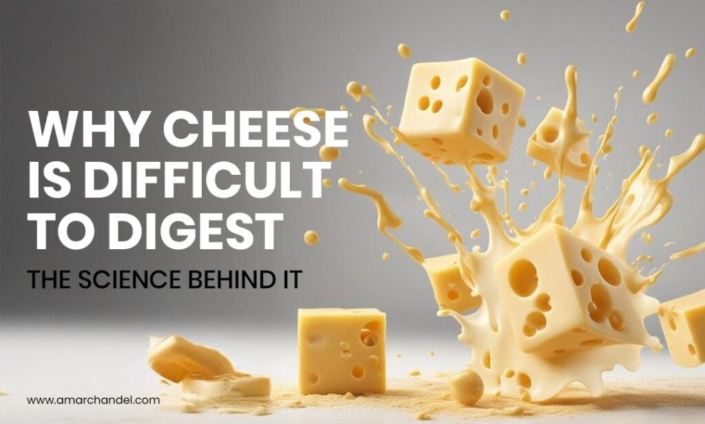 Cheese Is Difficult to Digest