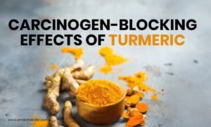 Carcinogen-Blocking Effects of Turmeric