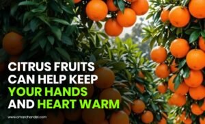 Citrus Fruits Can Help Keep Your Hands and Heart Warm