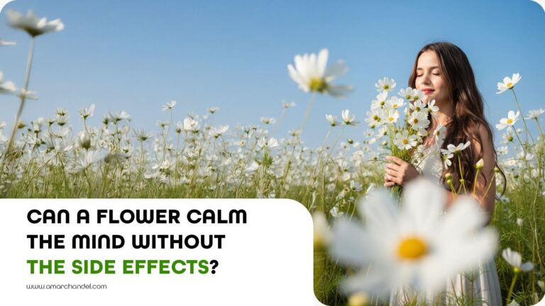 Can a Flower Calm the Mind Without the Side Effects?