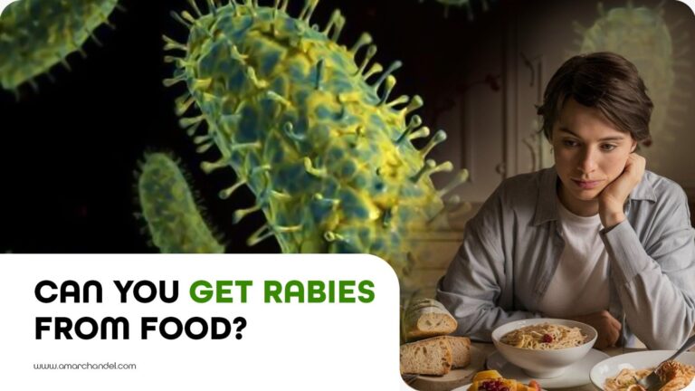 Can You Get Rabies from Food?