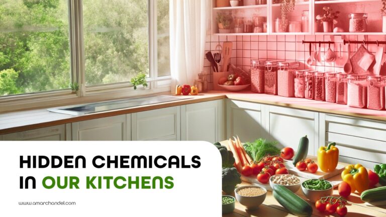Hidden Chemicals in Our Kitchens
