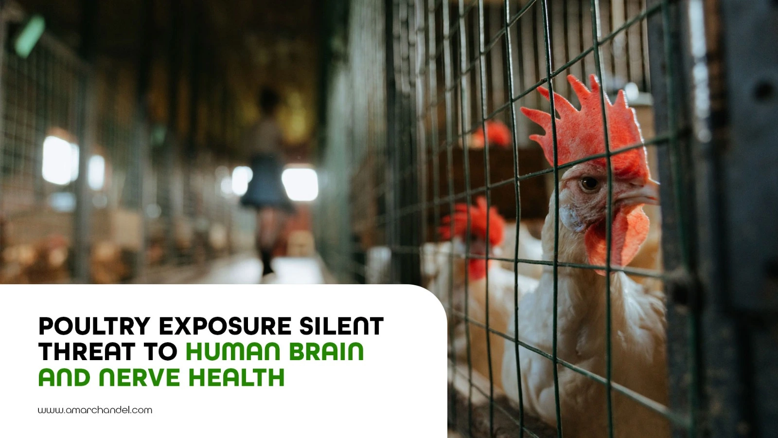 Silent Threat to Human Brain