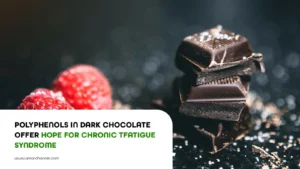 Polyphenols in Dark Chocolate Offer Hope for Chronic Fatigue Syndrome